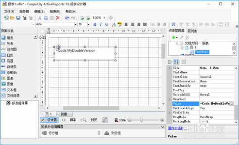 ActiveReports 报表设计器设计不同报表：脚本