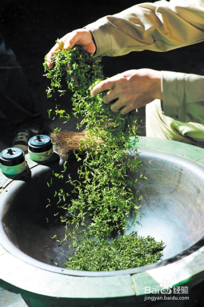 武夷岩茶独特的制作工艺