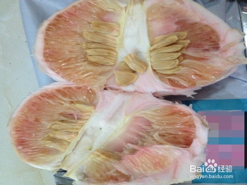 如何制作景观柚盆栽
