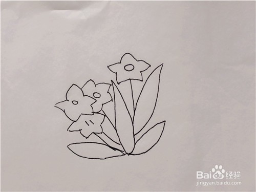 儿童简笔画——如何一笔一笔画出桔梗花？