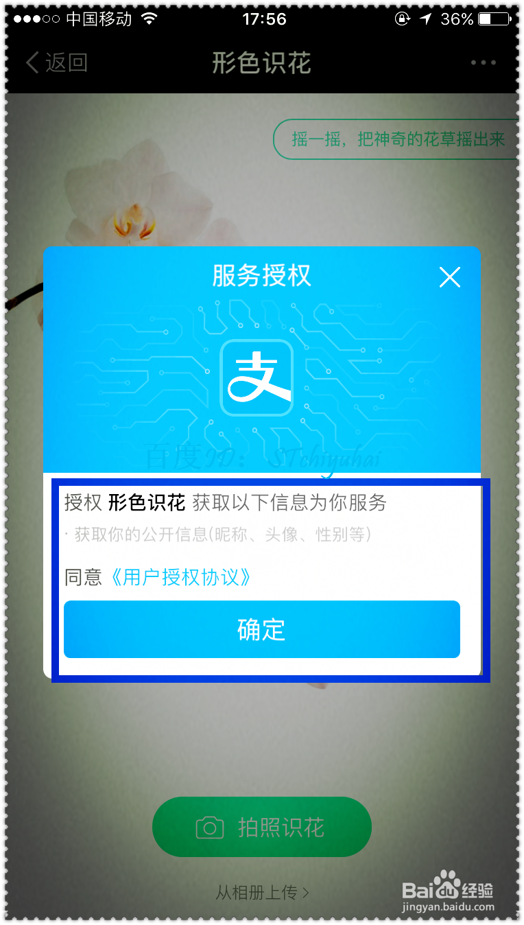 支付宝如何加载小程序