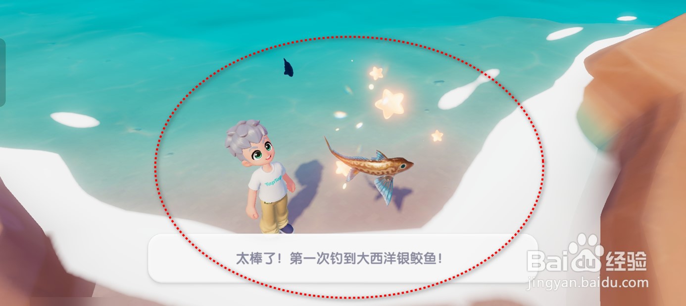 心动小镇如何钓大西洋银鲛鱼