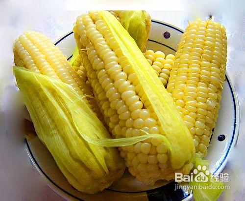 玉米煮多久比较好？