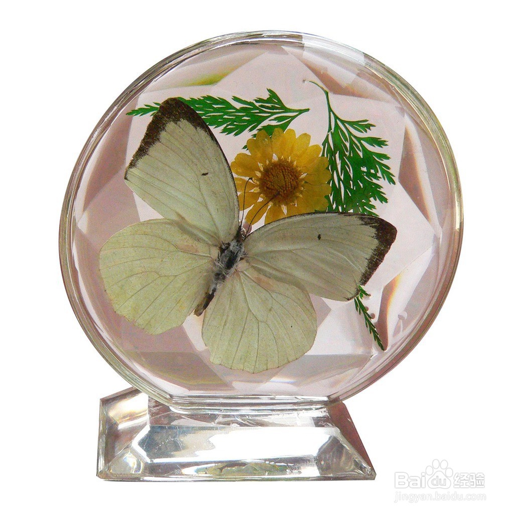 正确收藏和保养琥珀