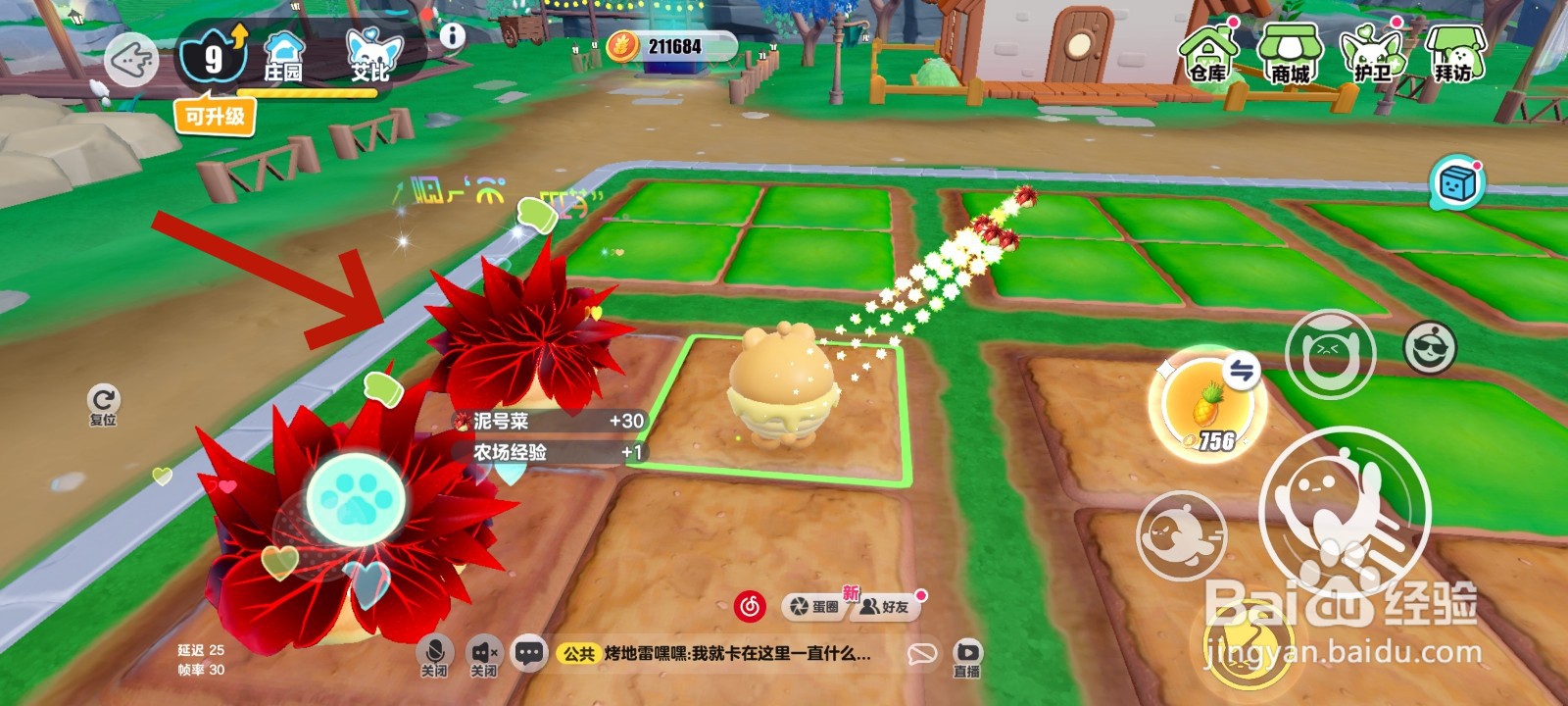 蛋仔派对游戏中收集泥号菜的教程