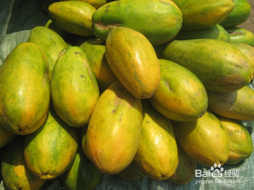 水果消费指南：怎么挑选好吃的木瓜？