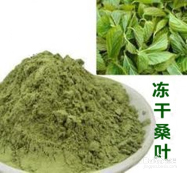 冻干桑叶降血糖稳定吗