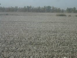 穷游新疆天山大峡谷