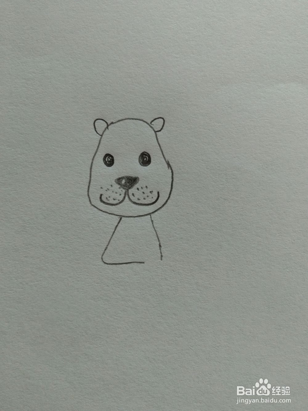 儿童趣味简笔画狮子