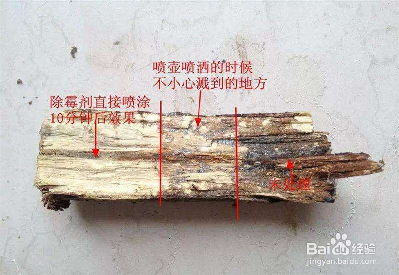 除霉剂真的能去除霉吗