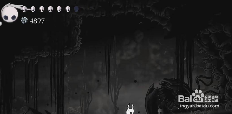 空洞骑士出生地在哪里？