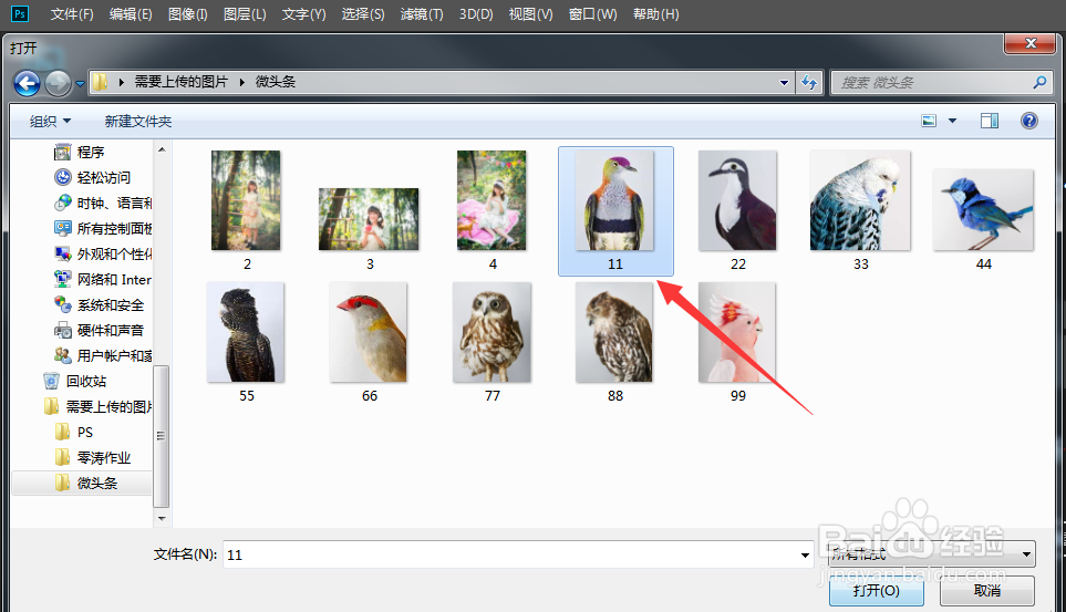 教你PS软件里面中如何快速放大、缩小。