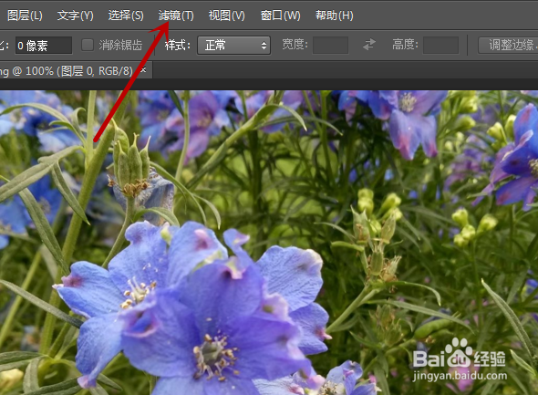 PS如何将图片制作成油画效果