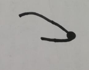 小老鼠的画法 小老鼠的简笔画