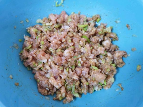 茴香大肉馅春卷