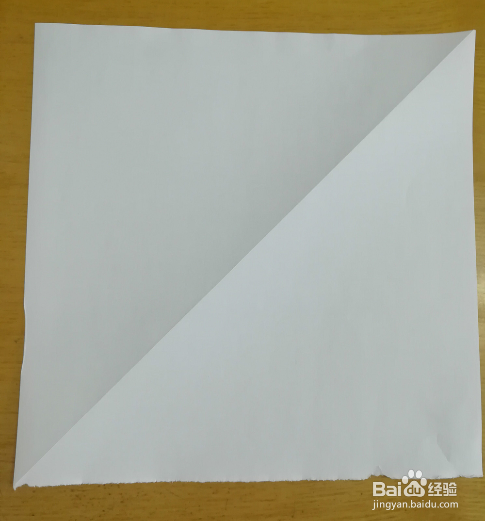 四角折剪——娃娃蟹