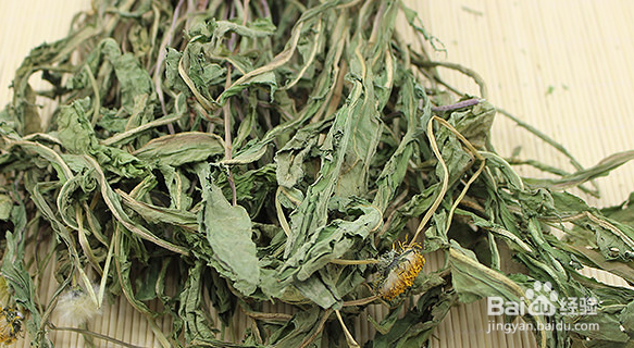 蒲公英对健康都有哪些好处