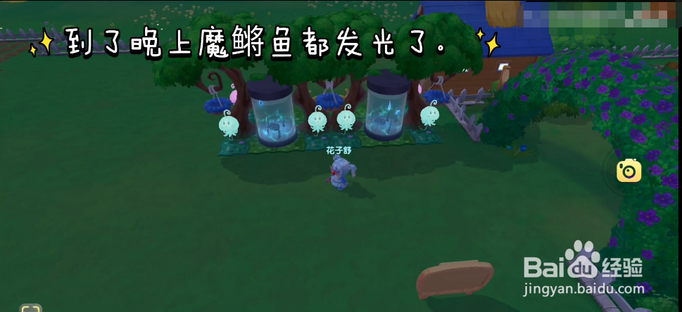 摩尔庄园手游魔鳉鱼走廊装修教程
