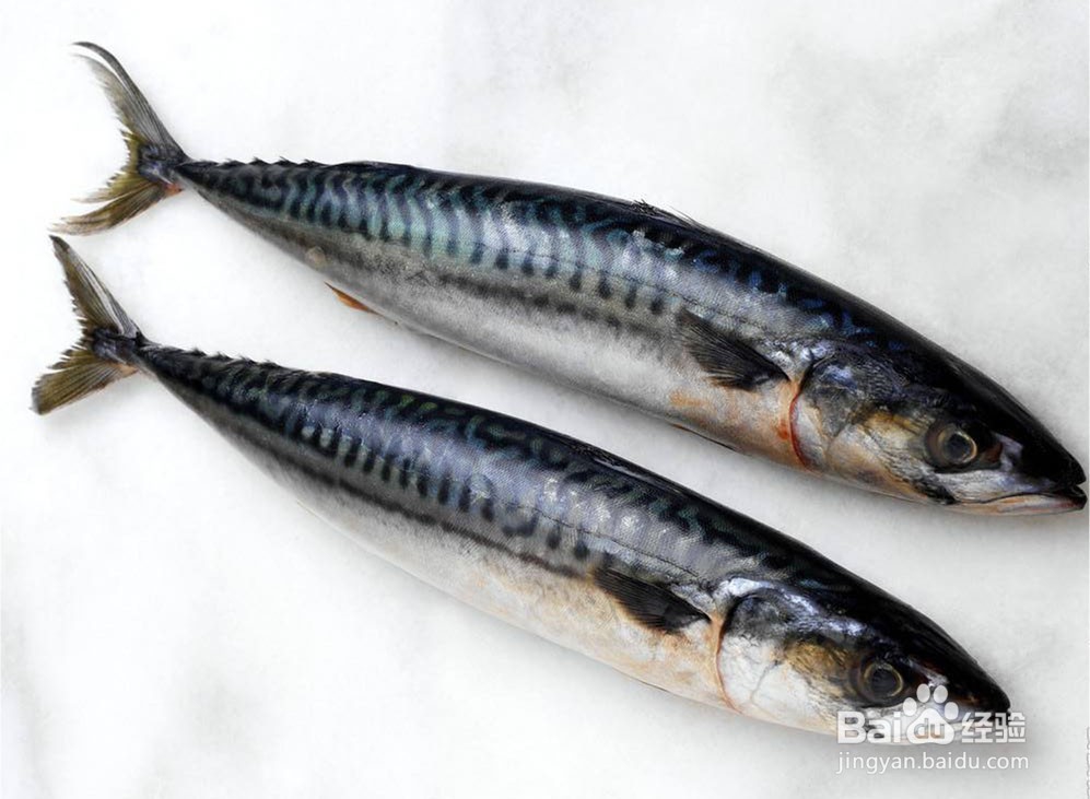 自制罗非冷冻饵