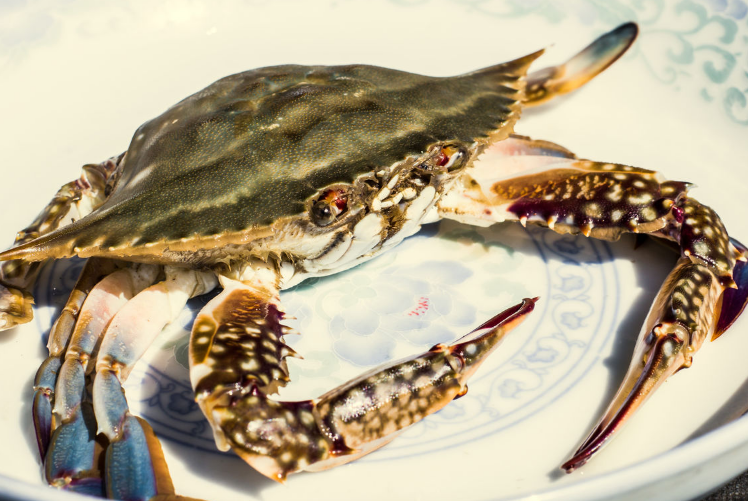 梭子蟹死多久不能吃