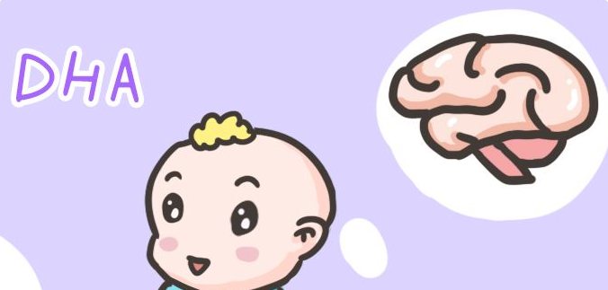 什么牌子的DHA比较好