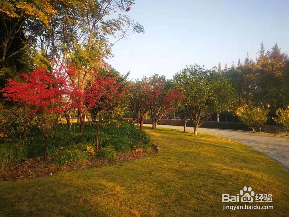 几万块怎么投资理财