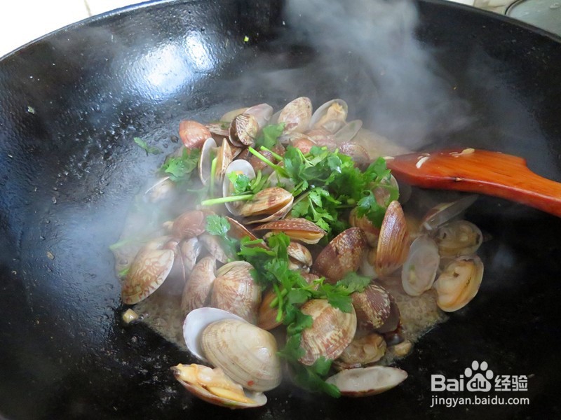 带你做辣炒花蛤