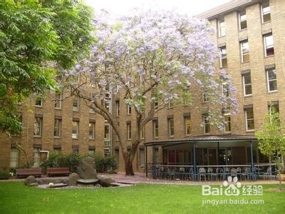 澳大利亚八大名校强势专业推荐