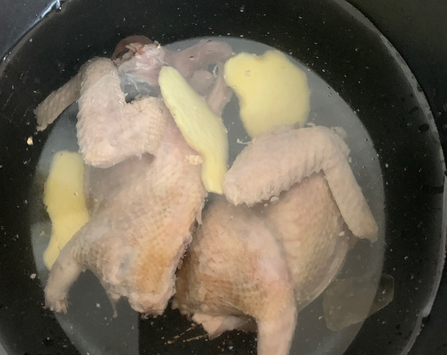 请问用电饭煲煲鸽子怎么做