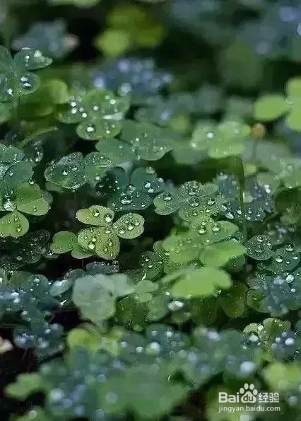 七个摄影小技巧,让你在雨天也能拍出好照片