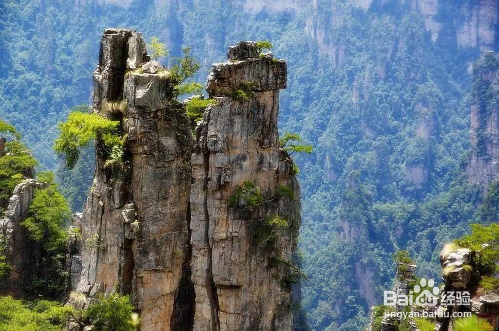 张家界旅游该注意些什么呢？