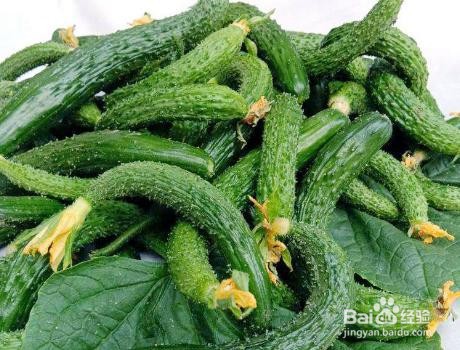 家庭自制腌黄瓜扭子