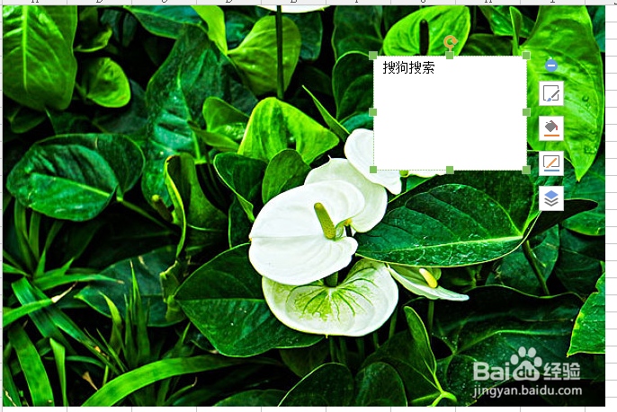 Excel表格如何在插入的图片上添加文字?