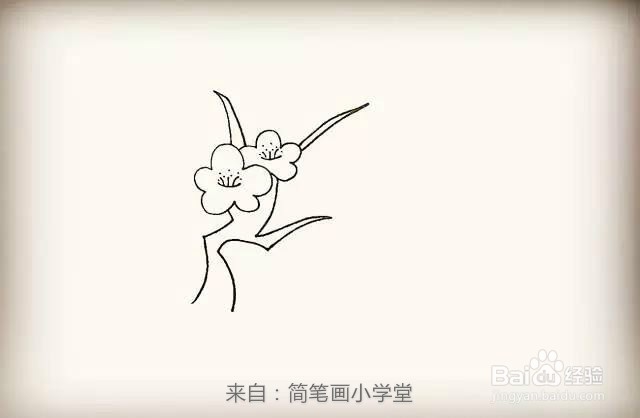 【梅花简笔画怎么画】梅花的画法