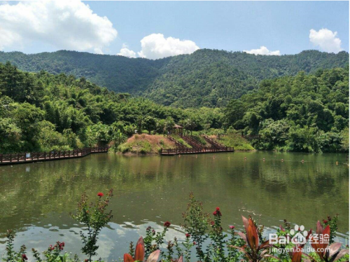 攻略 > 國內遊八寨溝旅遊景區 八寨溝風景區位於廣西欽州市欽北區貴臺