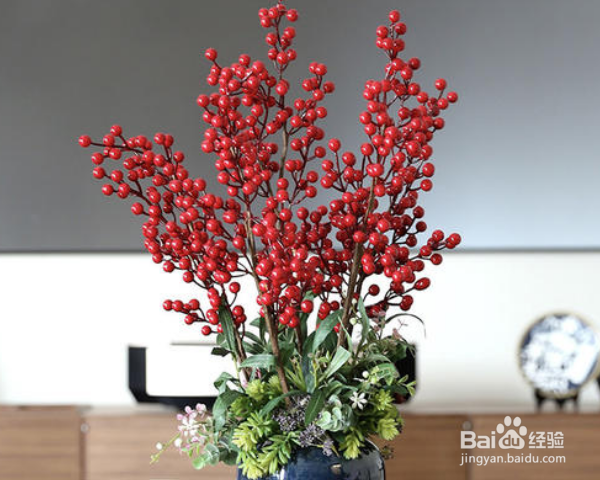 北美冬青插花瓶怎么养