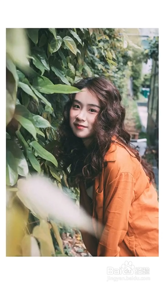 爬山虎如何拍出复古大片