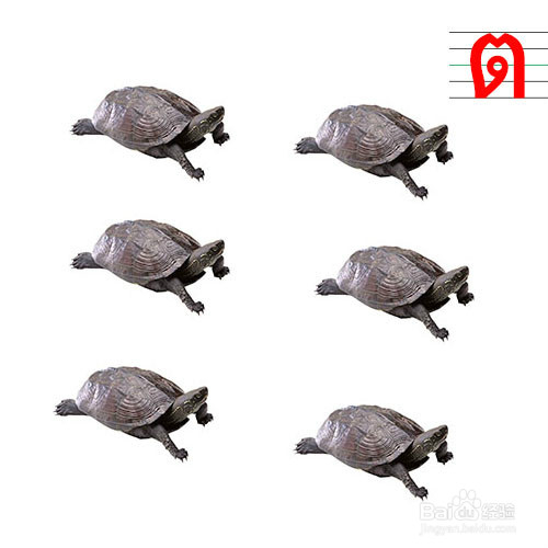 形象有趣的记忆方法学习泰语中辅音