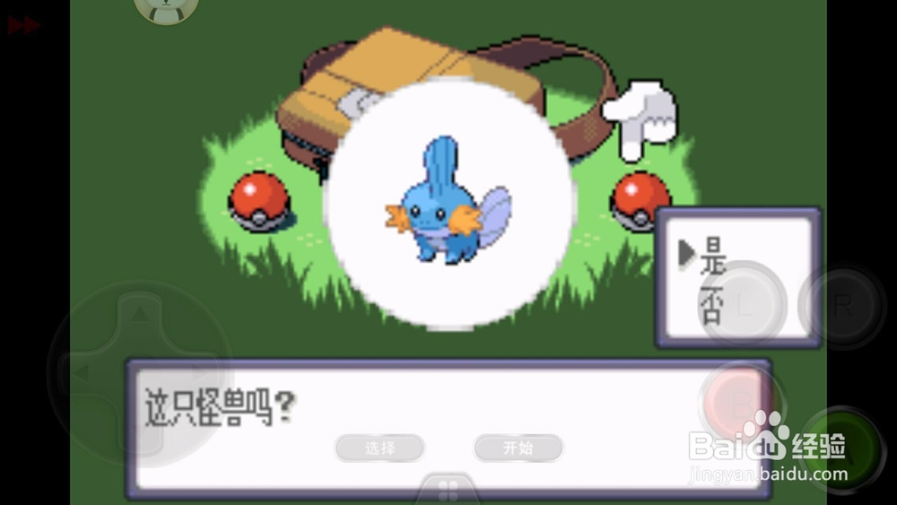 口袋妖怪绿宝石初始精灵水跃鱼性格选择。