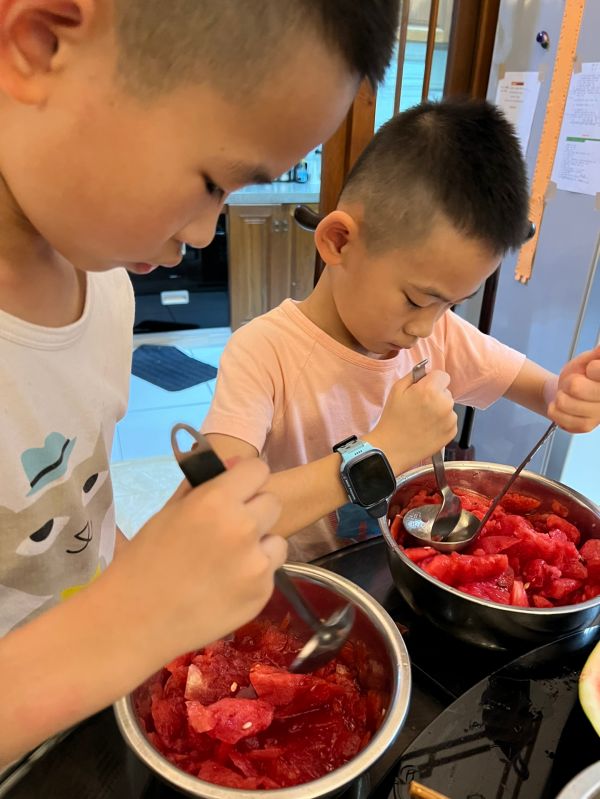 西瓜牛奶布丁啵啵果冻