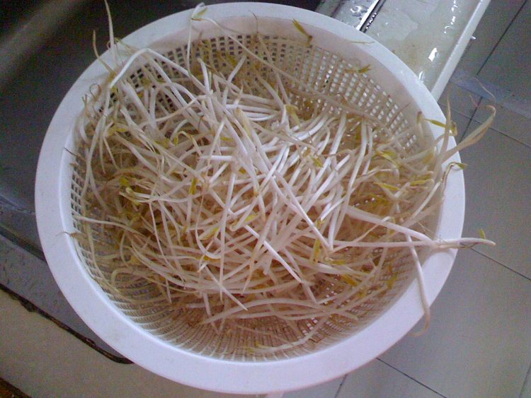 爱吃肉的你一定会爱上的粉丝肉丁!