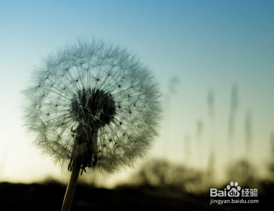 为什么我们离婚了？