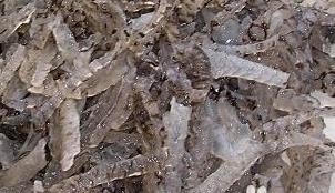 凉拌鱼皮的做法