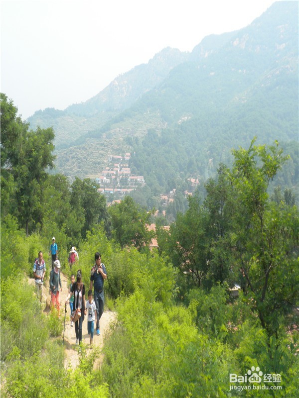 山东到哪儿去爬山？（一）