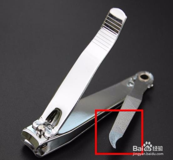 如何用家庭常用工具快速剥开核桃——指甲刀