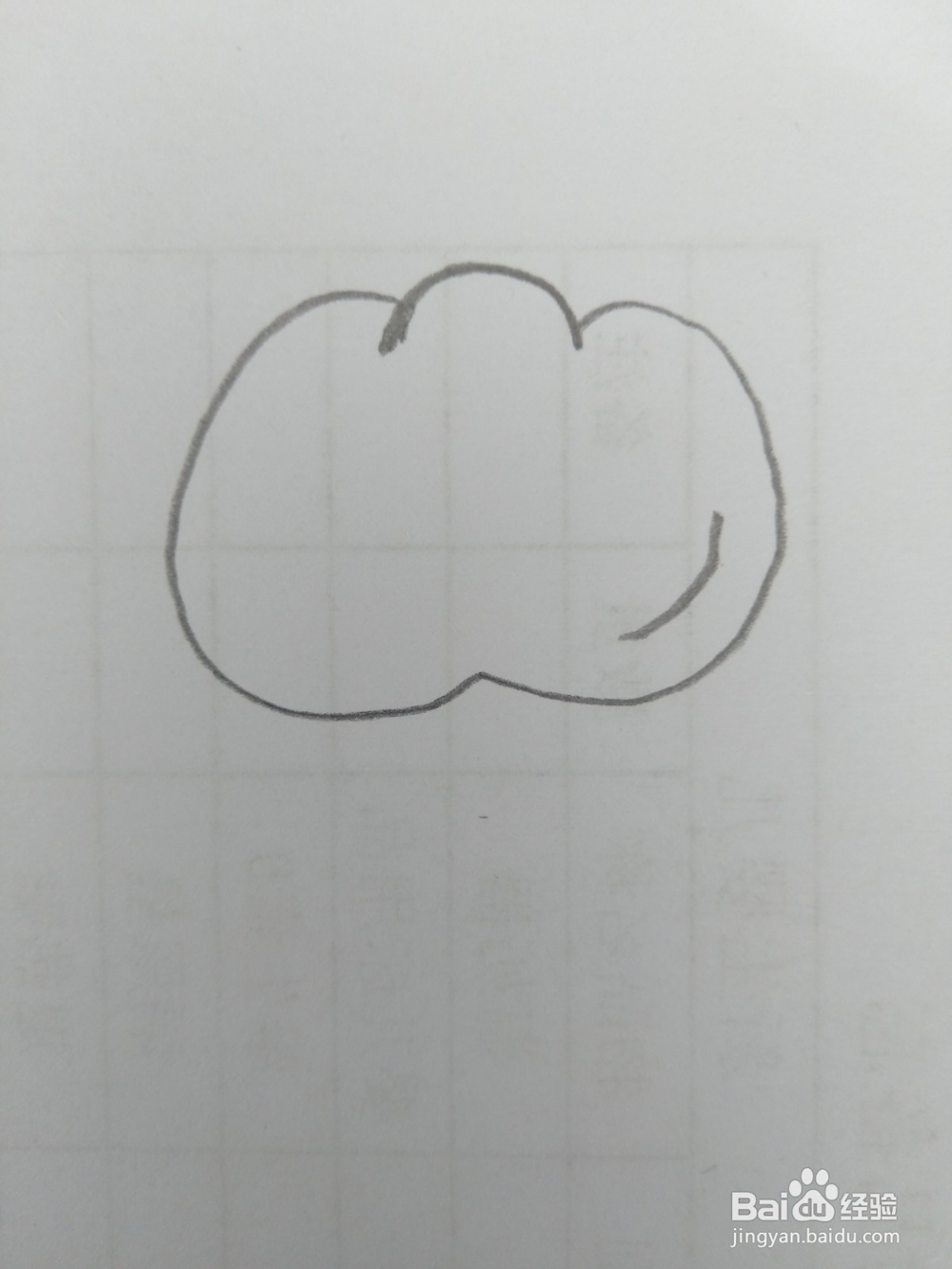 简笔画柿子画法四