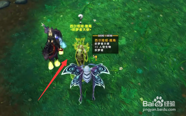 魔兽世界暗翼渡鸦图纸怎么获得