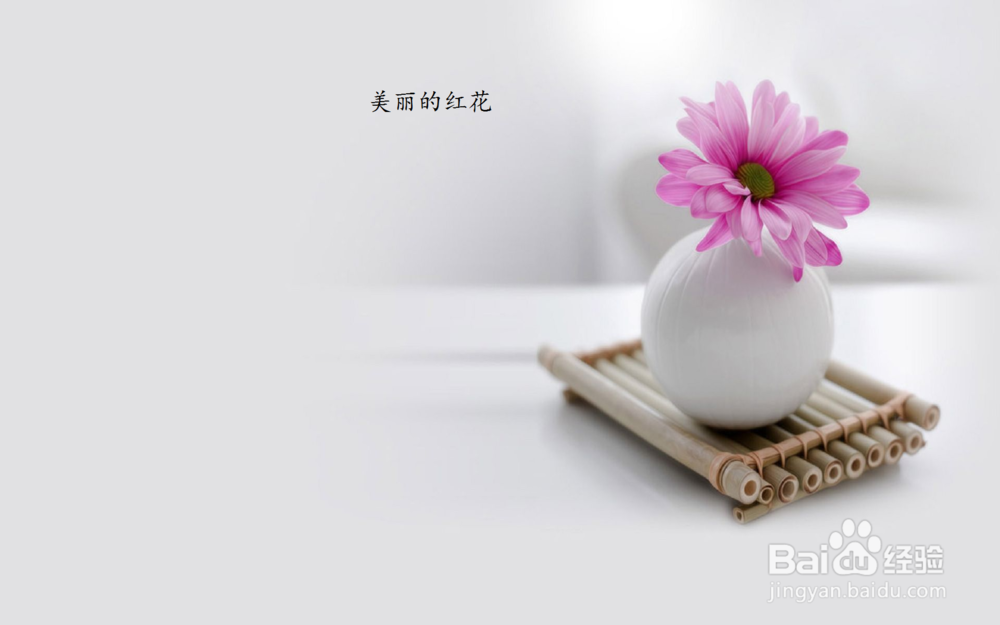 如何利用画图工具给图片添加文字