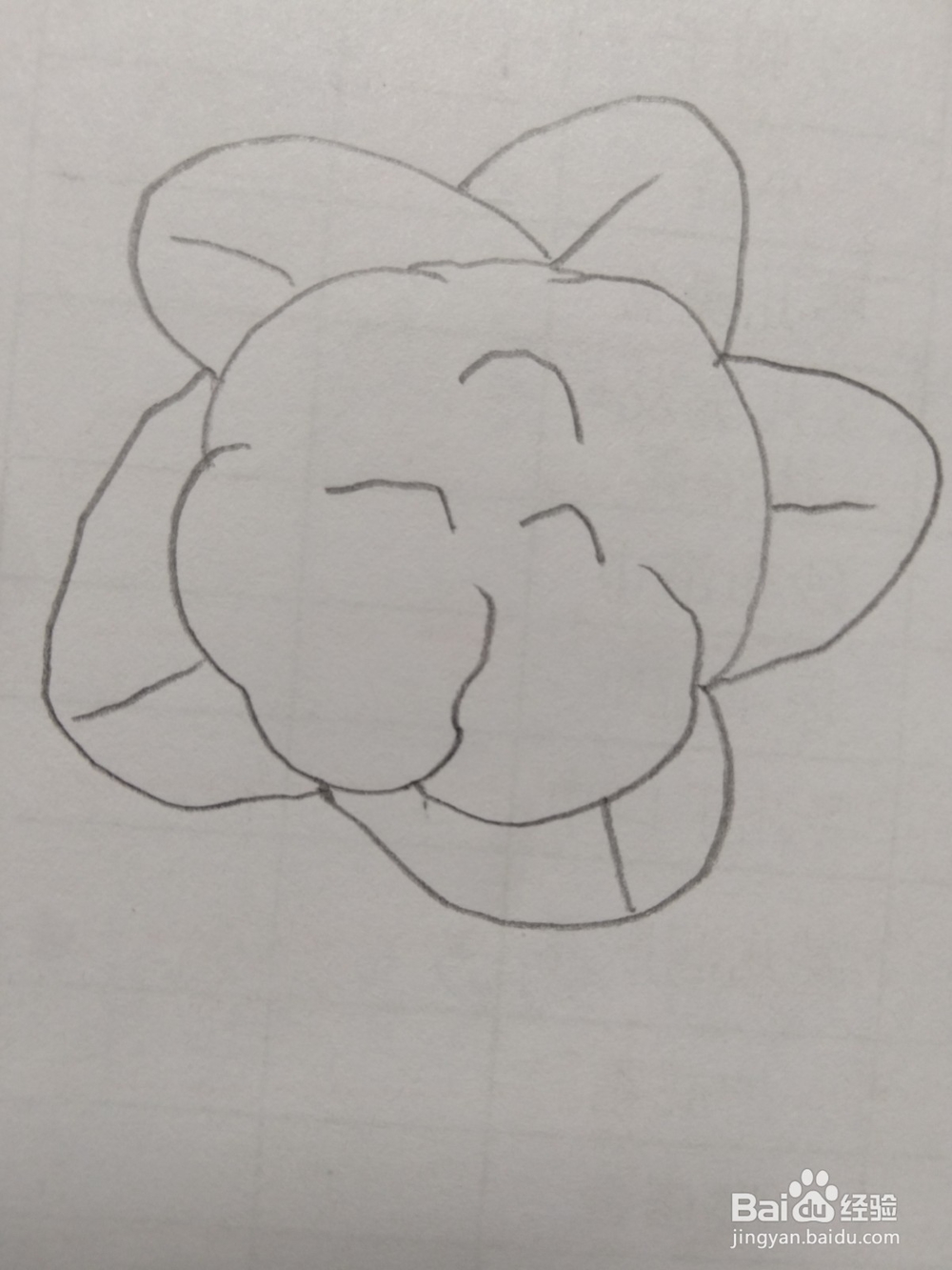 简笔画菜花画法2