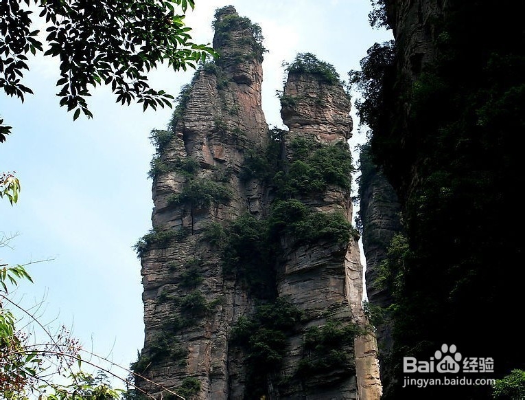 东莞到张家界自助游